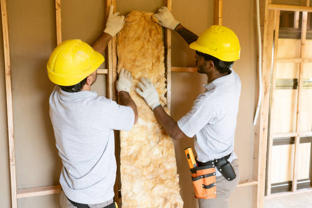 Best Professional Insulation Contractor  in Monticello, NY